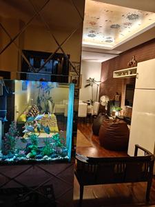 Hall Image of 2500 Sq.ft 3 BHK Builder Floor for sale in Greater Kailash New Delhi for Rs. 90000000