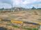 Vip viruksham singaperumal koil Plot View 2