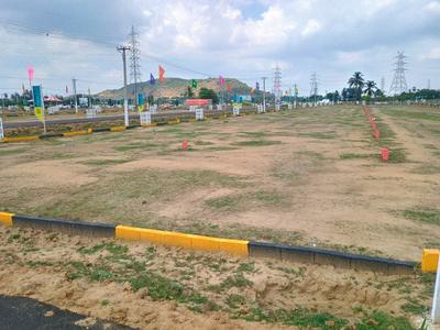 Vip viruksham singaperumal koil Plot View 2