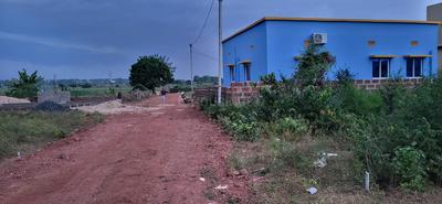 Residential Plot
