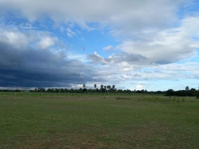 Gingee Plot View 3