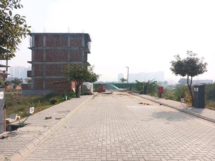 Adani Oyster Greens Main Image 1