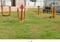 Goner Plot View 2