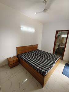 Bedroom Image of 680 Sq.ft 2 BHK Apartment / Flat for rent in Adani Aangan, Sector 89A Gurgaon for Rs. 24000