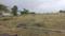 Geomac Park Main Image 1