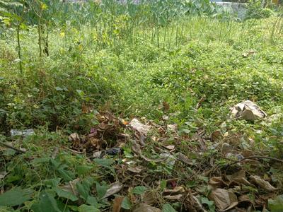 Madurdaha Plot View 2