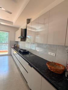 Kitchen Image of 5000 Sq.ft 3.5 BHK Builder Floor for rent in Sector 8 Chandigarh for Rs. 175000