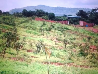 Image of 1089 Sq.ft Residential Plot / Land for sale in Pen, Raigad for Rs. 255000
