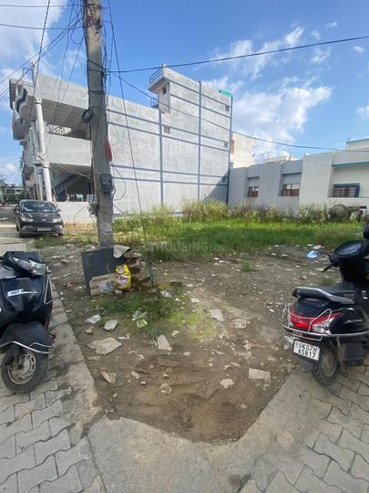 Brahmanwala Main Image 1