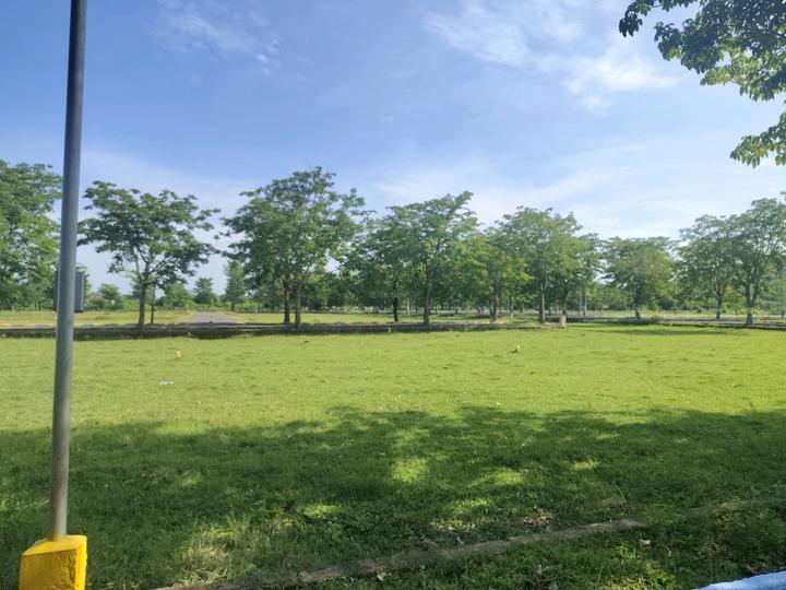 Fortune Main Image 1