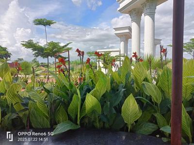 Image of 650 Sq.ft Residential Plot / Land for sale in Bhilai Marshalling Yard, Charoda for Rs. 1105000