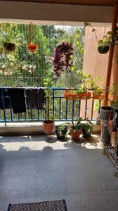 Balcony Image of 792 Sq.ft 2 BHK Apartment / Flat for sale in AV Whistling Winds, Kondhwa Budruk Pune for Rs. 7400000