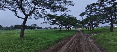 Image of 9157 Sq.ft Residential Plot / Land for sale in Silicon City, Indore for Rs. 36600000