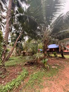 Image of 1000 Sq.ft 2 BHK Farm House for sale in Santhekatte, Udupi for Rs. 10000000