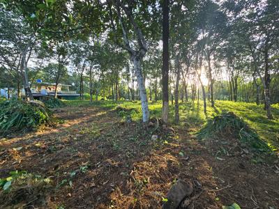 Image of 13068 Sq.ft Residential Plot / Land for sale in Puthenkurish, Kochi for Rs. 8700000