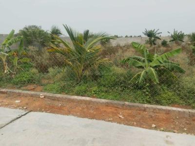 Image of 5000 Sq.ft Residential Plot / Land for sale in Anthivadi, Hosur for Rs. 360000