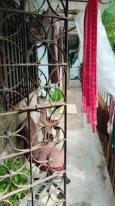 Balcony Image of 220 Sq.ft 1 RK Builder Floor for sale in Dahisar West Mumbai for Rs. 1600000