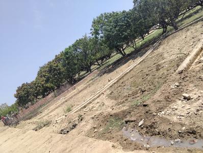 Image of 650 Sq.ft Residential Plot / Land for sale in Para, Lucknow for Rs. 1235000
