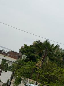 Green Field Plot View 3