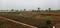 Balai premium Main Image 1