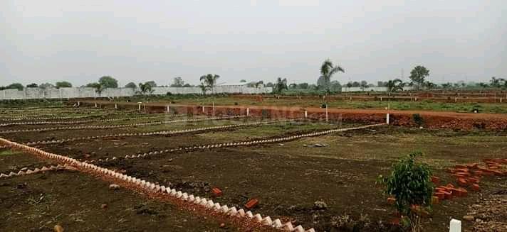Balai premium Main Image 1