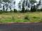 Kothavalasa Plot View 2