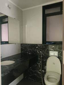 Common Bathroom Image of 3000 Sq.ft 4 BHK Apartment / Flat for sale in Lodha Palava Serenity, Palava Phase 2 Thane for Rs. 30000000