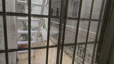 Balcony Image of 1600 Sq.ft 3 BHK Duplex for rent in DDA Sector C Pocket 6, Vasant Kunj New Delhi for Rs. 78000