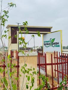 Sirsi Plot View 3