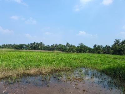 Image of 3600 Sq.ft Residential Plot / Land for sale in Natures Paradise, Joka, Kolkata for Rs. 1125000
