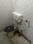 UDAYAN PALLY, Baguiati Bathroom 1