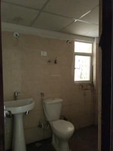 Common Bathroom Image of 1100 Sq.ft 2.5 BHK Apartment / Flat for sale in Amrapali Verona Heights, Noida Extension Greater Noida for Rs. 8000000