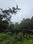 Mulshi Main Image 1