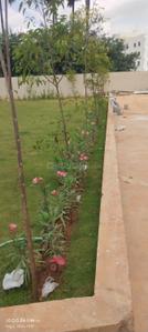 Image of 1580 Sq.ft 3 BHK Apartment / Flat for sale in Karmanghat, Hyderabad for Rs. 7100000