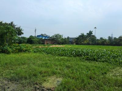 Image of 1440 Sq.ft Residential Plot / Land for sale in Wander Valley, Joka, Kolkata for Rs. 502055