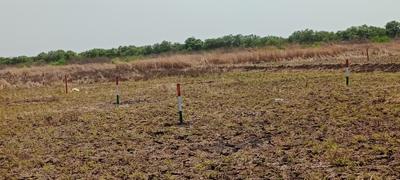Image of 1000 Sq.ft Residential Plot / Land for sale in Ulwe, Navi Mumbai for Rs. 1200000