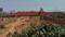 Raghunathpur Plot View 2