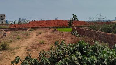 Raghunathpur Plot View 2