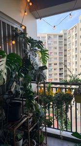 Balcony Image of 1500 Sq.ft 3 BHK Apartment / Flat for rent in Orchid Piccadilly, Chokkanahalli Bengaluru for Rs. 60000