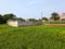 Sonargaon 2 Plot View 2