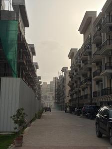Image of 1075 Sq.ft 2.5 BHK Builder Floor for sale in Signature Global City 81 Phase 2, Sector 81, Gurgaon for Rs. 13100000