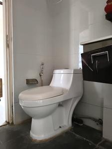 Common Bathroom Image of 1800 Sq.ft 3 BHK Apartment / Flat for sale in Swaraj Homes Gracious Tower, Sector 56 Gurgaon for Rs. 24000000