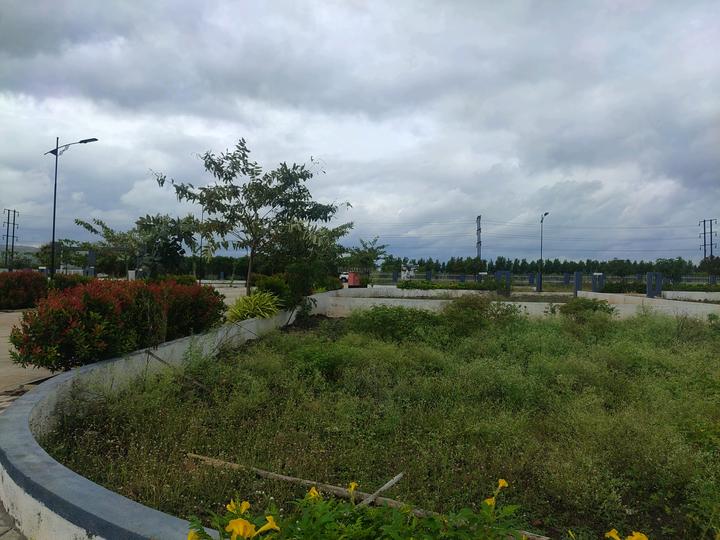 Loni Kalbhor Main Image 1