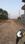 Darekhu Plot View 2