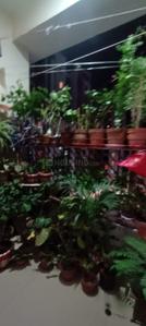 Balcony Image of 1164 Sq.ft 2.5 BHK Apartment / Flat for sale in Navita, Madhyamgram Kolkata for Rs. 6200000