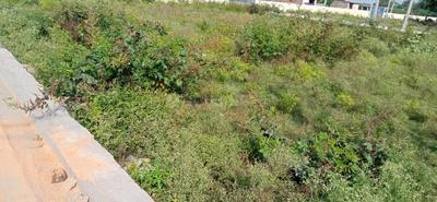 Image of 250 Sq.ft Residential Plot / Land for sale in Sector 27, Greater Noida for Rs. 12500005