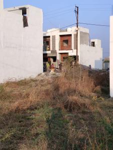 RR Saffron Leaf Plot View 2