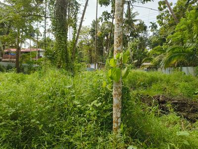 Image of 1210 Sq.ft Residential Plot / Land for sale in Chungam, Alappuzha for Rs. 11500000