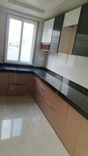 RR PAllACIA Main Image 1