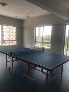 Hall Image of 975 Sq.ft 2 BHK Apartment / Flat for rent in Sipani Royal Heritage, Iggalur Bengaluru for Rs. 24000